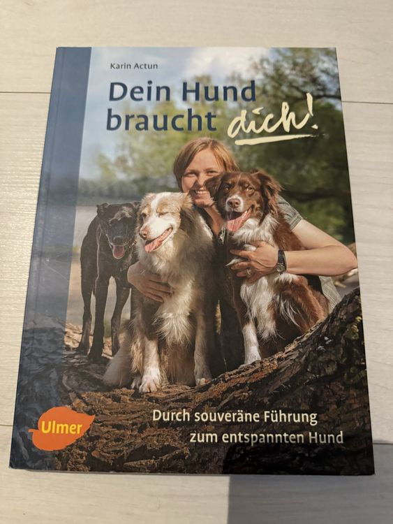 Dein Hund Braucht Dich Buch | Kaufen Auf Ricardo