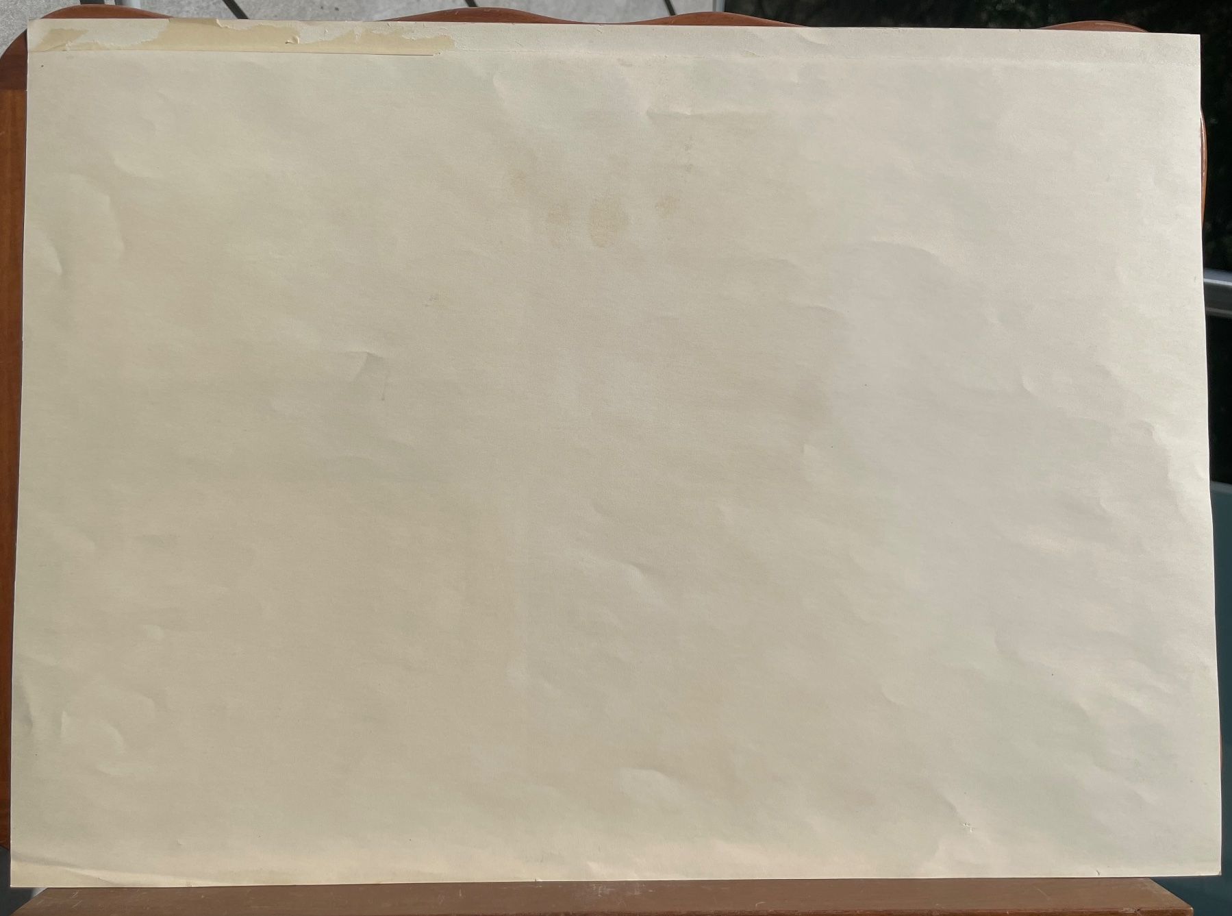 Grafica & Litografie: M. Wuest antilopes Koudou lithographie – Usato da Biel/Bienne venduto da Galaq 2