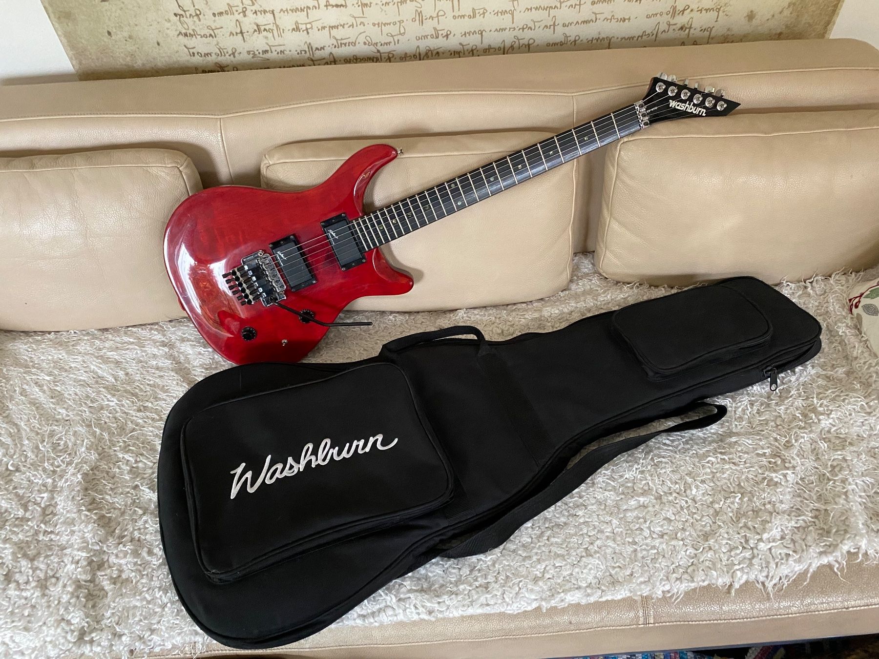 Strumenti musicali: Washburn RS 10 V – Usato da Mels venduto da SuperMario1969 9