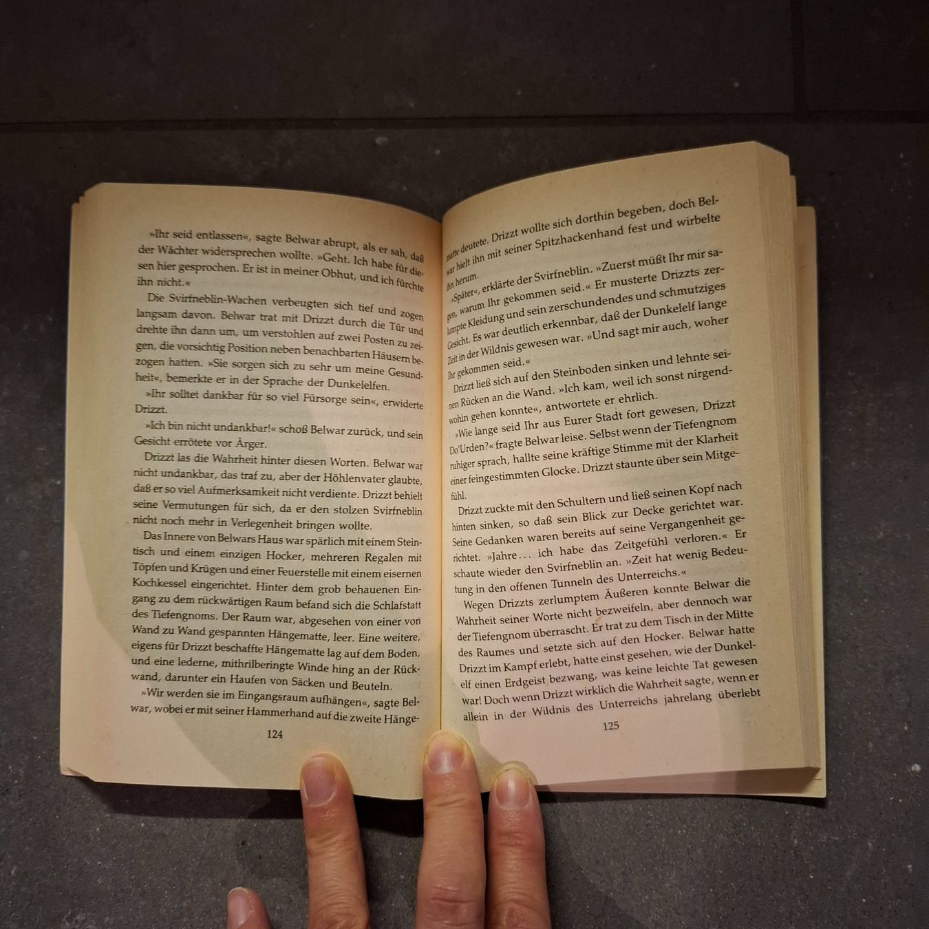 Libri: R. A. SALVATORE 'Der Wächter im Dunkel' – Usato da Hombrechtikon venduto da Tinea82 2