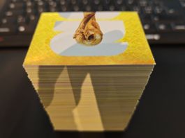 412 packfrische Panini Sticker WM 2026, keine Doppelten!