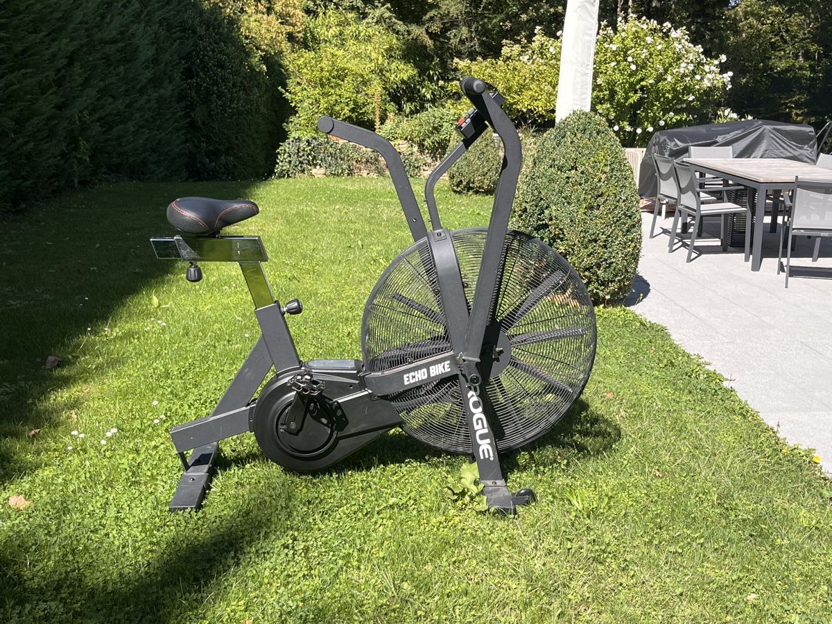 Rogue Hometrainer: Rogue echo bike  – Usato da Collonge-Bellerive venduto da ola_69vq