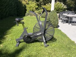 Rogue echo bike 