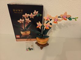 LEGO Botanicals Mini Orchid 10343