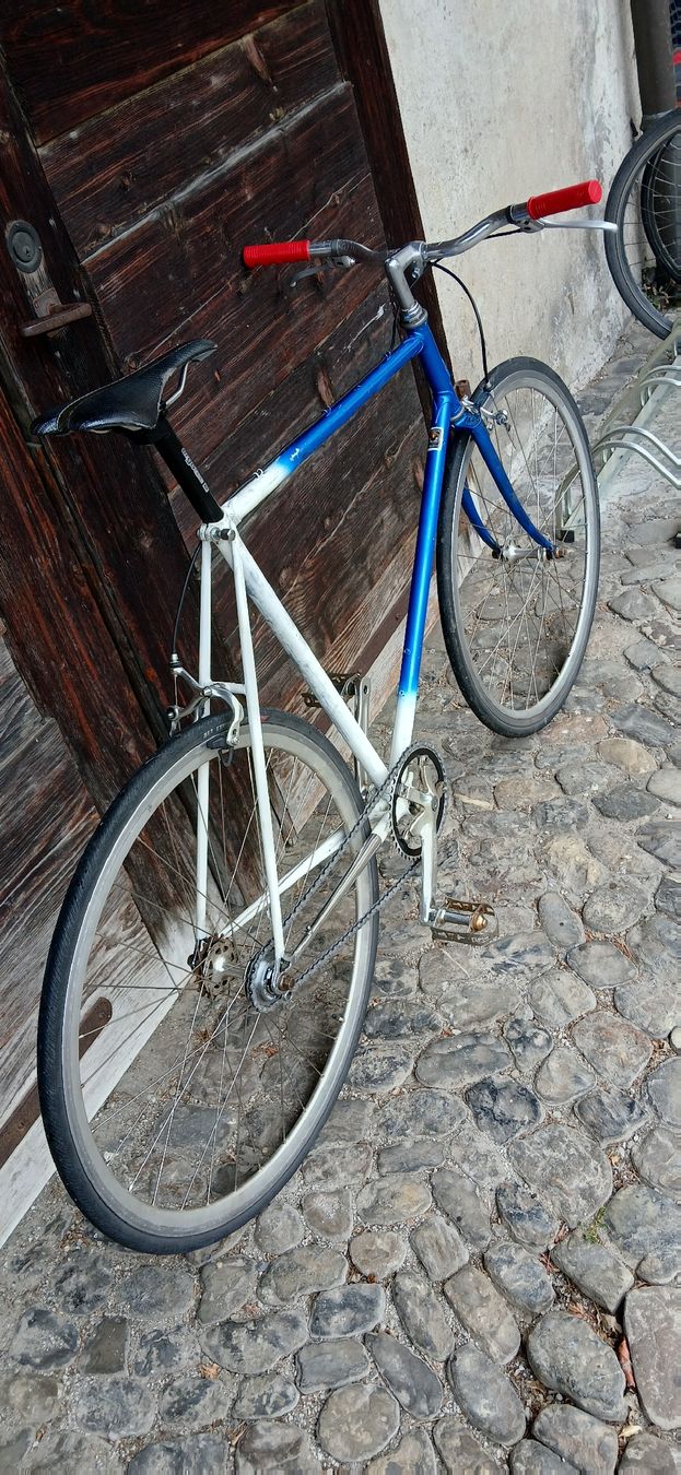 Biciclette: Cristal single speed/ fixi Gr 59 – Usato da Adliswil venduto da trujillo01 8