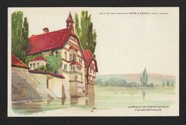 Carte Postale Peter & Kohler : CHÃTEAU DE STEIN s/ LE RHIN