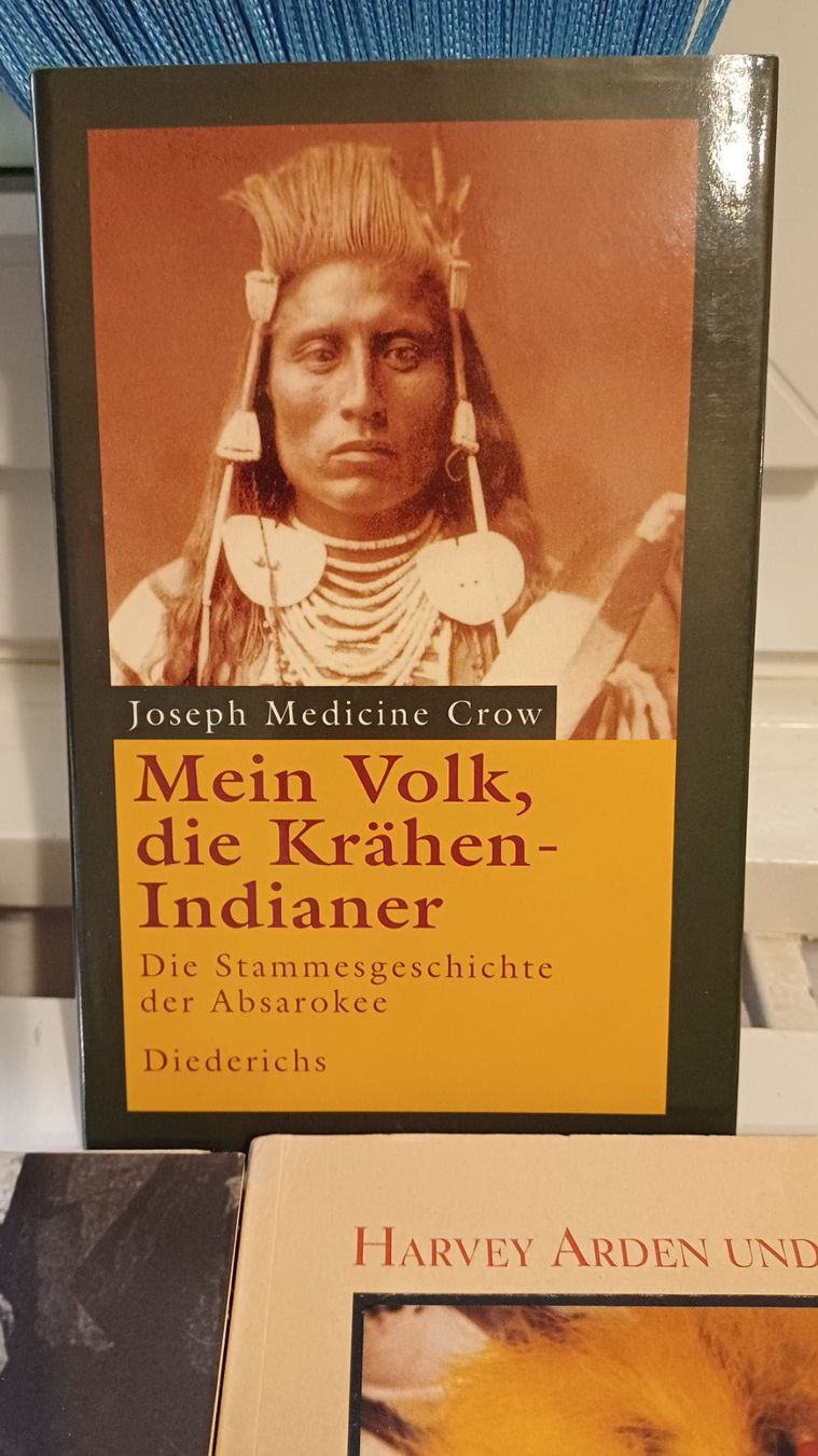 Libri: INDIANER Bücher im Set 3 Stück – Nuovo (secondo la descrizione) da Zollikerberg venduto da Kaugo 3