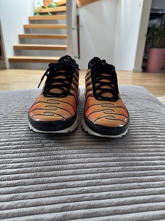 Scarpe da uomo: AIR MAX PLUS 'SUNSET' TN US10.5 – Usato da Zürich venduto da oli_lk9l 1