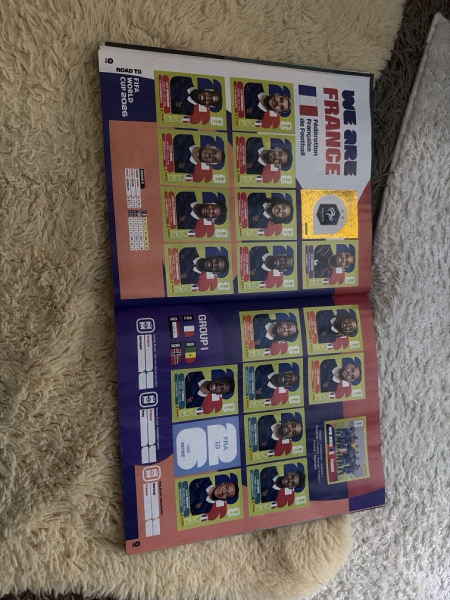Lego Giocattoli: Panini heft und Harry Potter Lego – Nuovo (secondo la descrizione) da Winterthur venduto da aka_9qbz 5