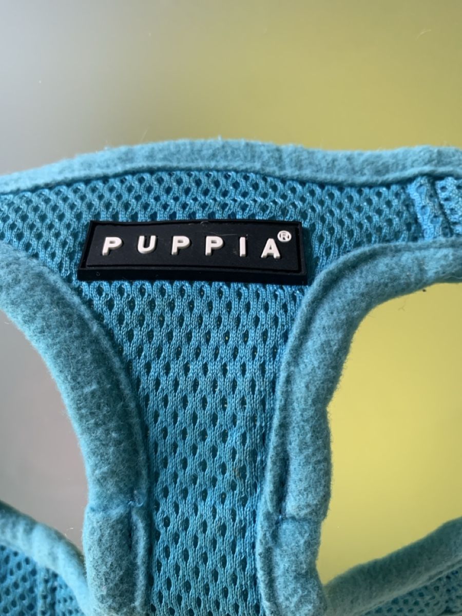 Set di piatti: Hundegeschirr (Welpe) – Usato da Eglisau venduto da bfr_2dz2 3