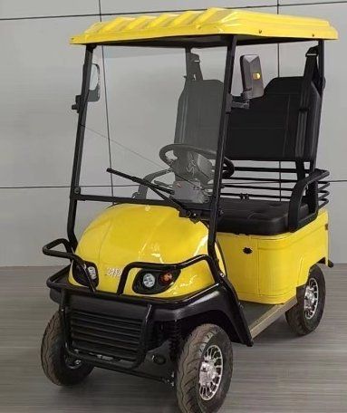 Elektromobile: Elektro-Caddy gelb 2-Sitzer mit Dach und Korb – Gebraucht aus Bünzen von Turbolino5 1