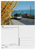 Zug Kollermühle Zugerland ZVB Bus NAW BGU 5-25 Bahn SBB BDt