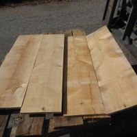 Birkenbrettli 16 mm