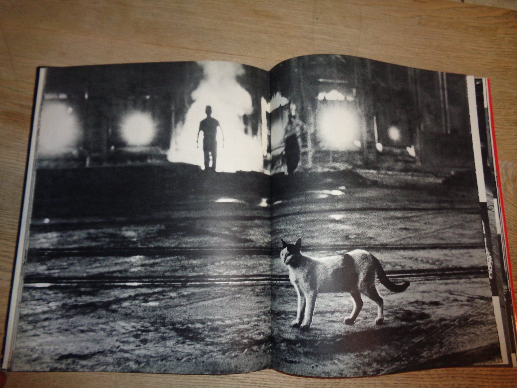 Libri: KURT Blum Fotoklassiker rar – Usato da Welschenrohr venduto da Regool 8