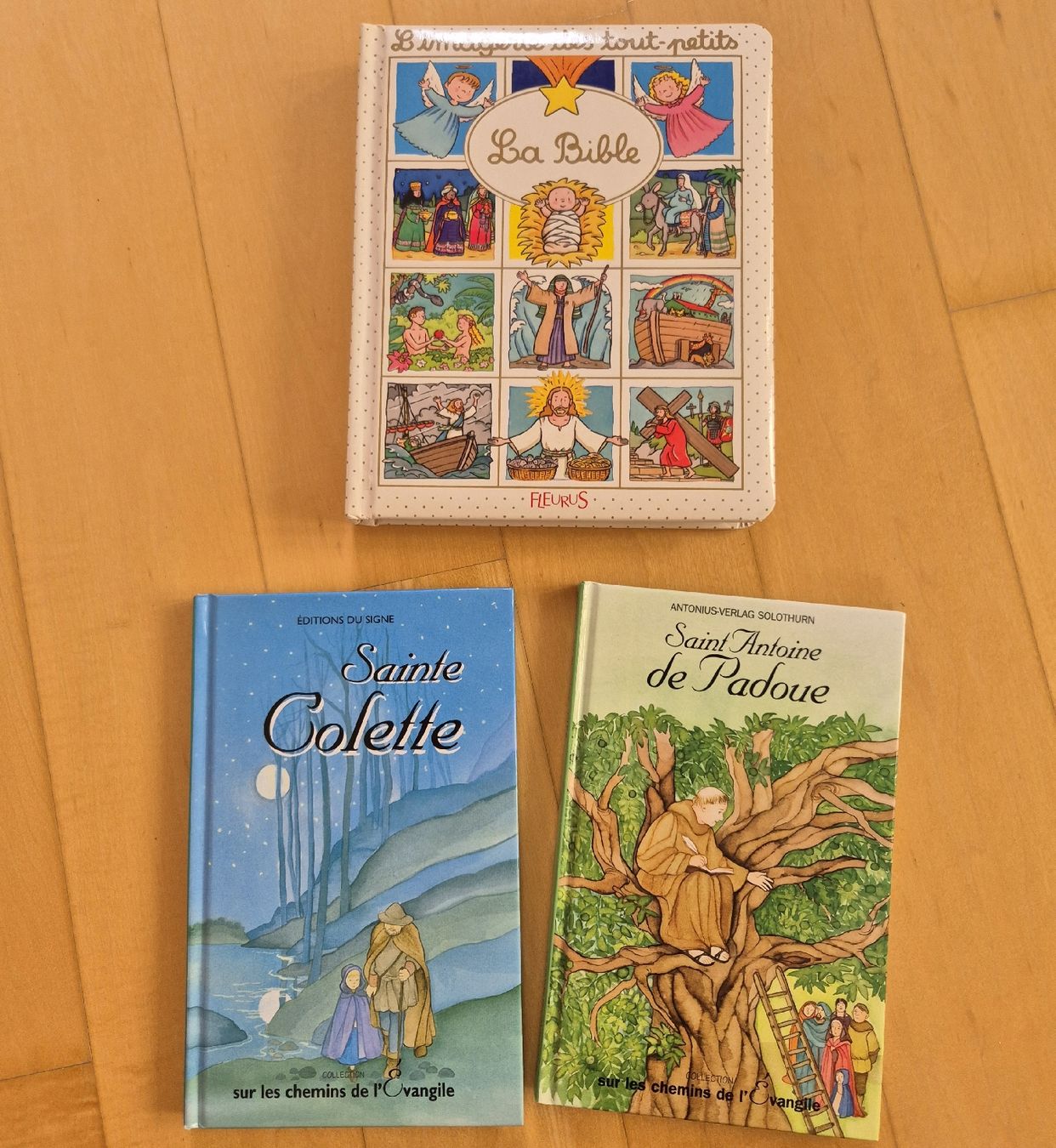 Libri: La Bible pour touts-petits – Usato da Domat/Ems venduto da ver_7q9b