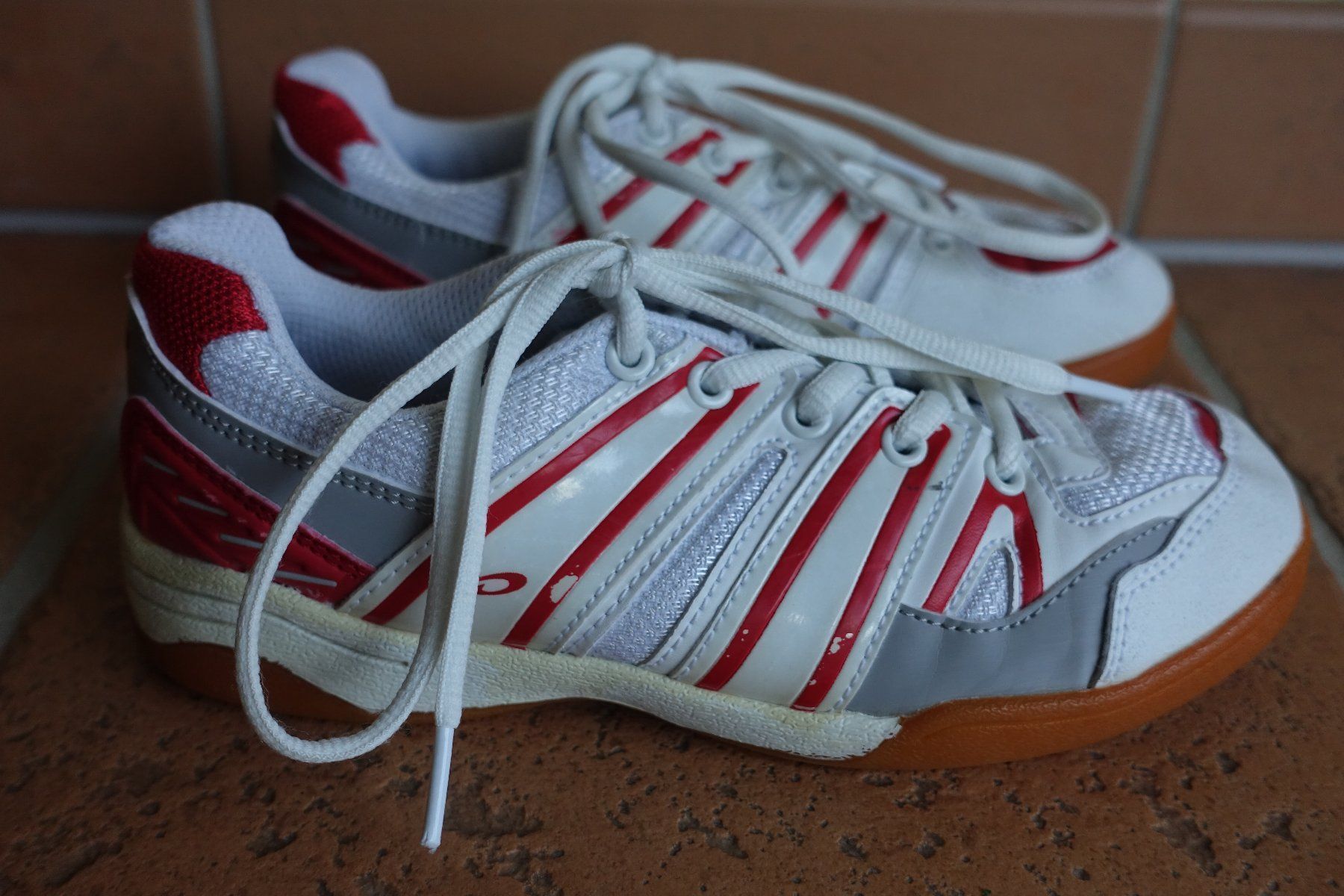 Scarpe per ragazzi: Basket Panther indoor T36 – Usato da Chamoson venduto da daleva0204 1