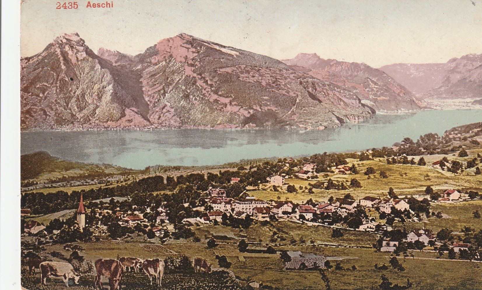 Cartoline postali: Aeschi -Karte gelaufen 1909 – Usato da uttwil venduto da Koehlerfred