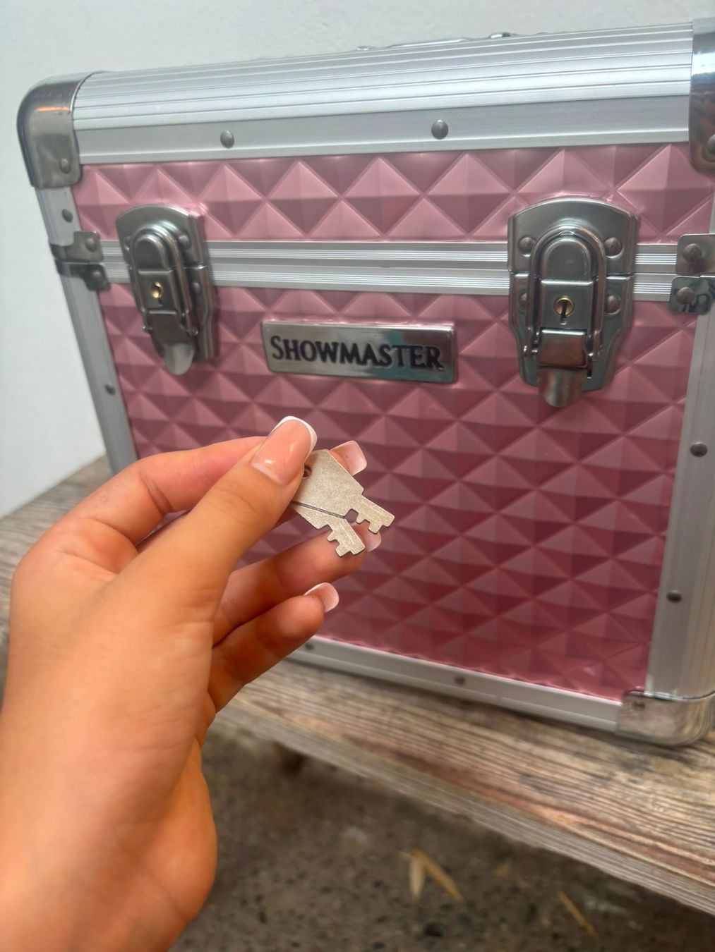 Prodotti per la cura & Articoli per la pulizia: Showmaster Pferde Putzbox & Zubehör – Usato da Herrenschwanden venduto da Homebaze 2