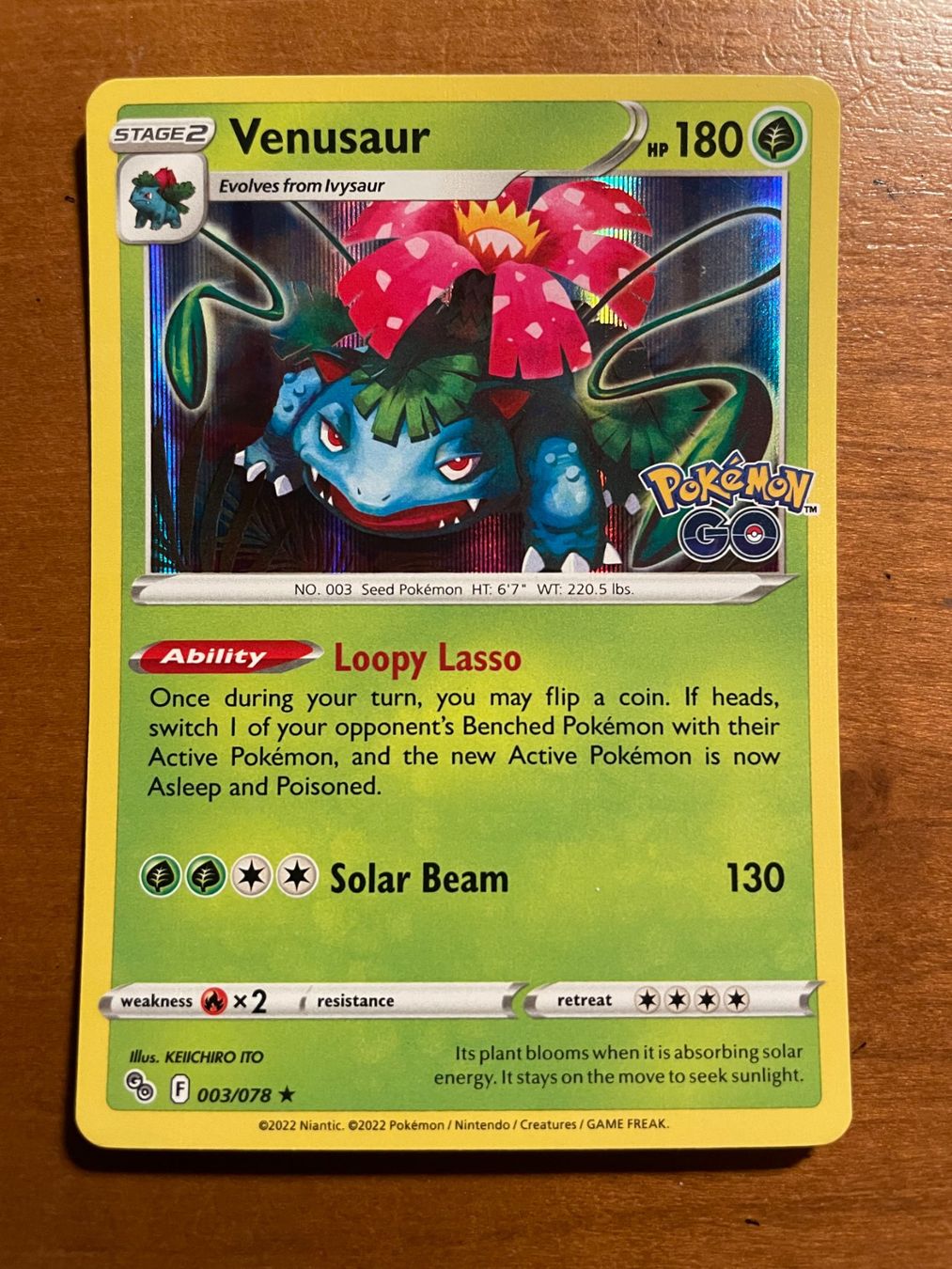 Pokémon Carte collezionabili: Pokemon Venusaur Holo 2022(Versand gratis) – Nuovo (secondo la descrizione) da Chur venduto da Angerson