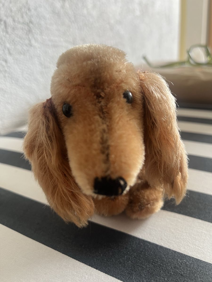Steiff Spielzeuge: Steiff Waldi Dackel – Gebraucht aus Rorschacherberg von Artmaru