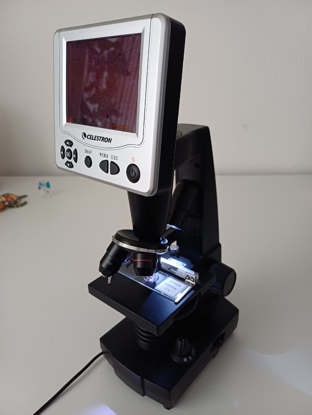 Celestron Mikroskopie: Microscope avec écran numérique – Neu (gemäss Beschreibung) aus Trélex von almet_07 2