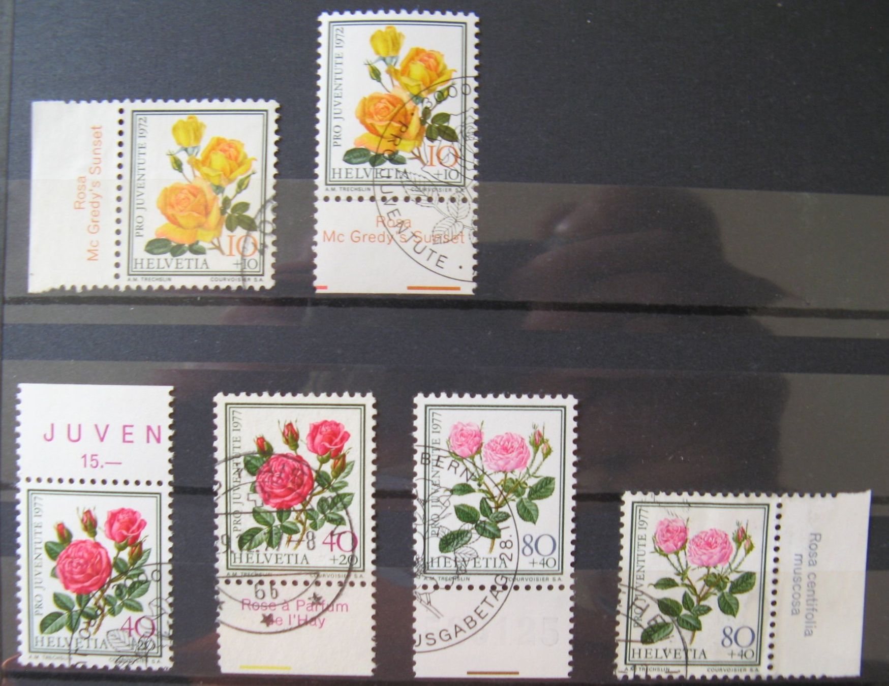 Tutti i francobolli: PJ 1950 - 1976 mit Tabs gestempelt – Usato da Frauenfeld venduto da Interessent1 7