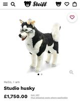 Peluche Steiff Studio Husky 80 cm