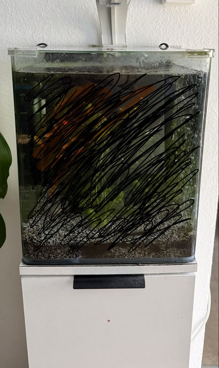 Aquarium: Aquarium mit Gestell – Gebraucht aus Lyss von KiS12 1