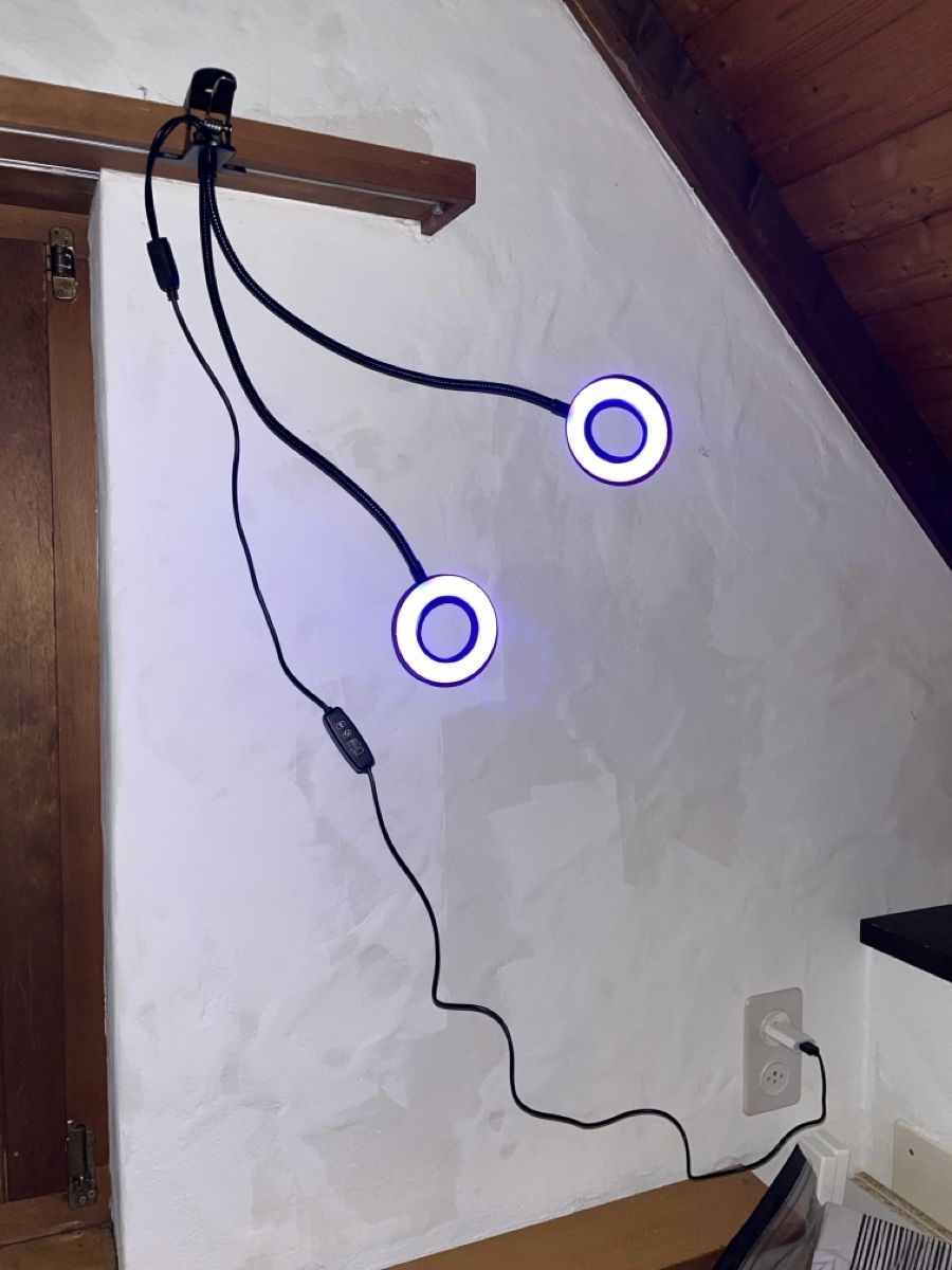 Lampen: 2x Xavax Circle Pflanzenlichter – Gebraucht aus Brugg AG von kja_86hm 3