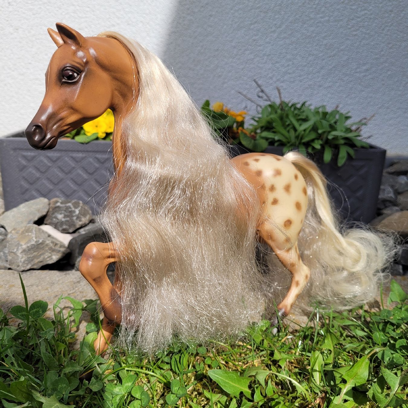 Giocattoli: Barbie Pferd Hengst Aslan Repaint Unikat – Usato da Niederbuchsiten venduto da klengyel