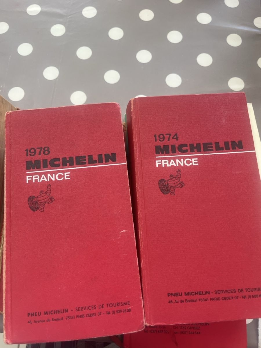 Libri: 6x livres Michelin – Usato da Noville venduto da Berlusconi55 3