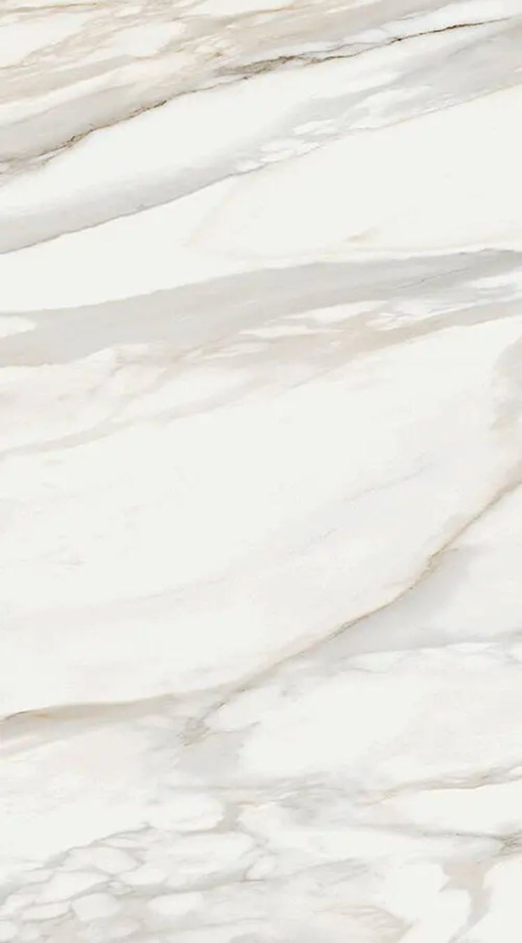 Rivestimenti per pavimenti: fliesen  60x120 – Nuovo e nell'imballaggio originale da Däniken SO venduto da Baumaterial_schweiz