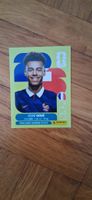 WM- Panini Sticker 2026 Désiré Doué
