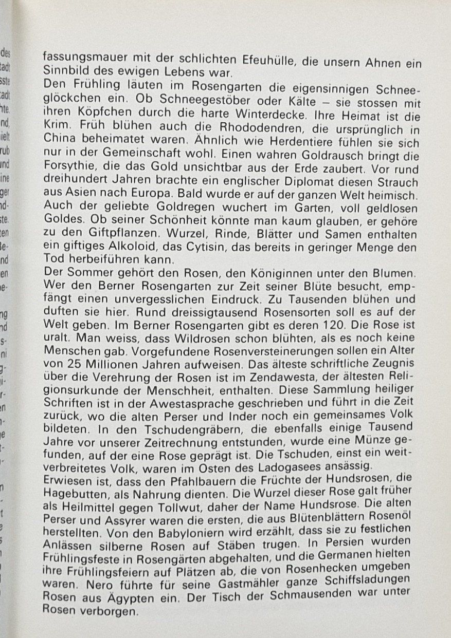 Libri: ROSENGARTEN: der schönste Aussichtspunkt auf Bern – Usato da Bern venduto da Mattthias 2