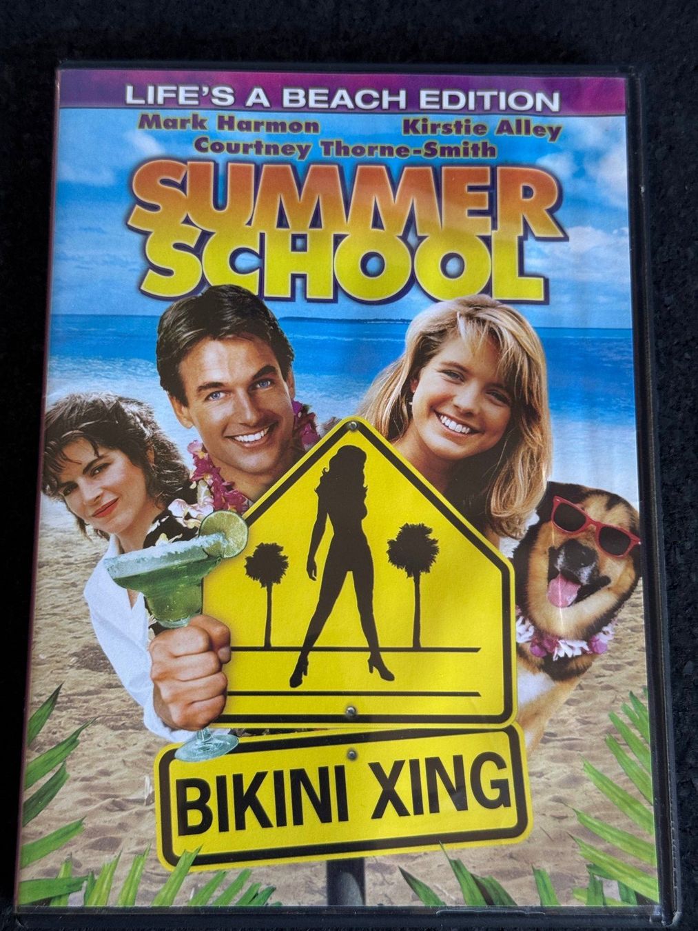 Alle DVDs: Summer School "Bikini Xing" DVD EN Ländercode 1 – Gebraucht aus Fribourg von tschjoly