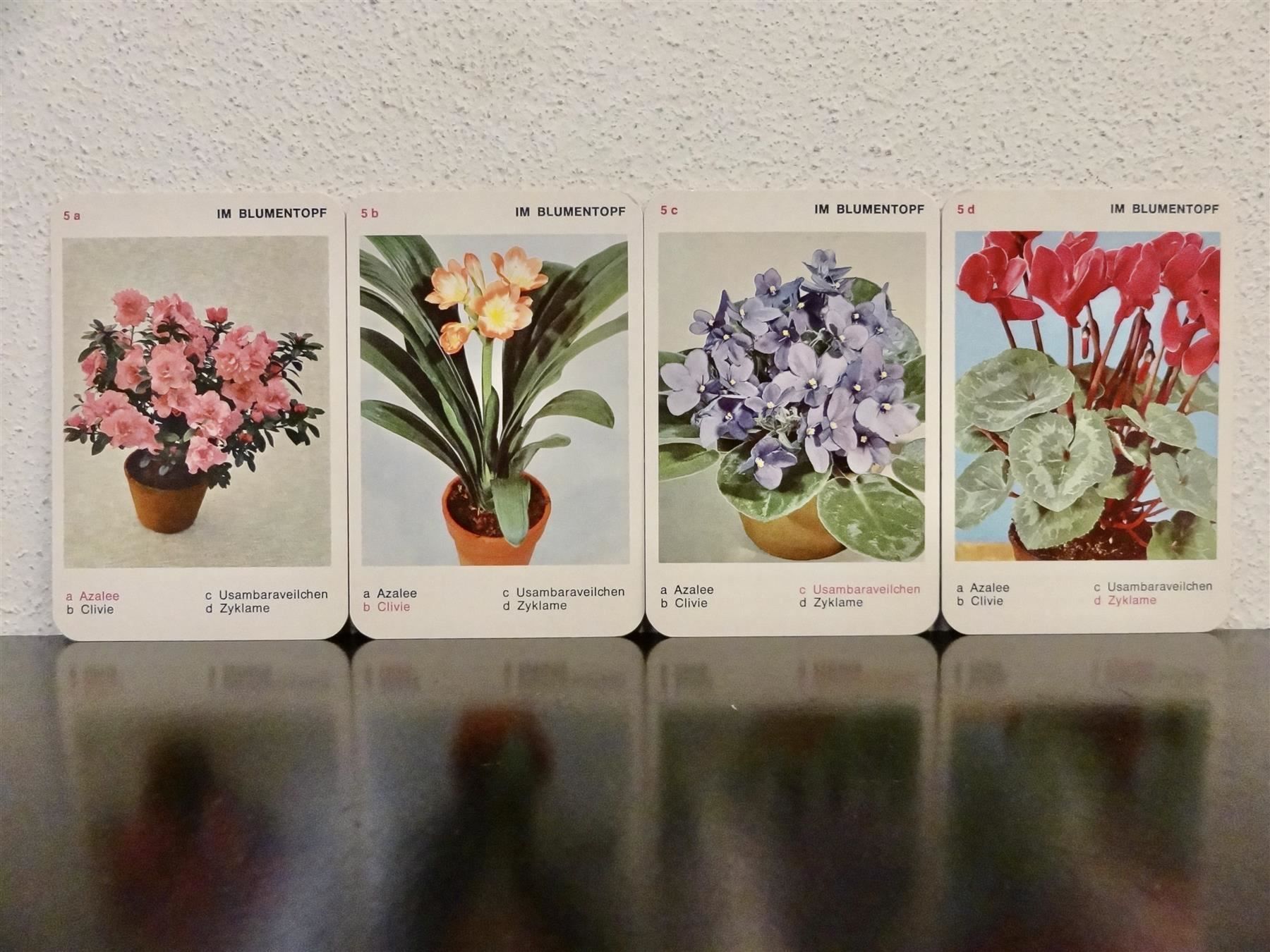 Giochi: altes Quartett BLUMEN-QUARTETT BLUMEN – Usato da Kerzers venduto da wisaundso 5