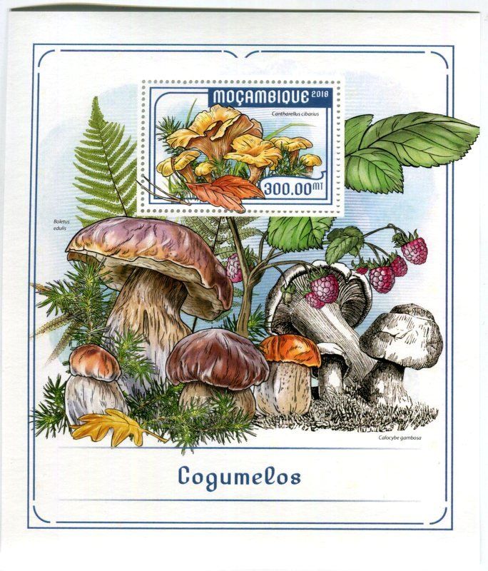 Alle Briefmarken: Block "Pilze". Mosambik. – Neu und originalverpackt aus Basel von Butsch5