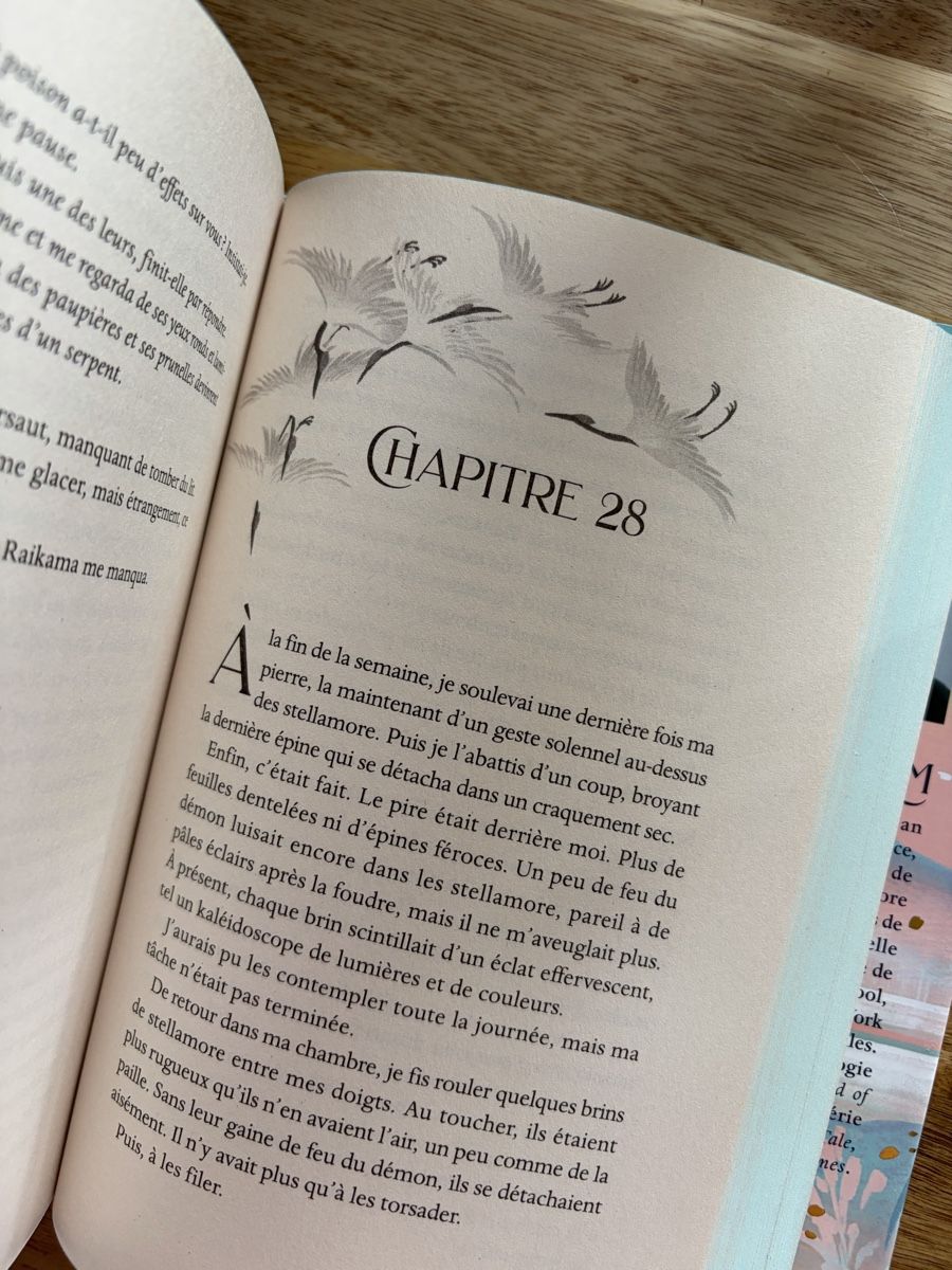 Bücher: Six Couronnes écarlates Elizabeth Lim Rageot – Gebraucht aus Crissier von Nouchki76 3