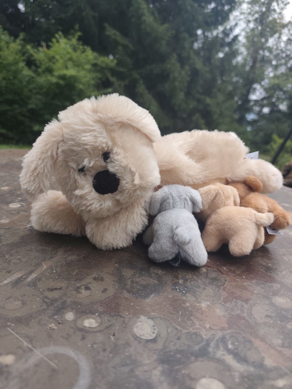 Giocattoli: Mutterhund mit 3 Baby Welpen Plüschtier  – Usato da Wald ZH venduto da Enyafay
