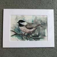 Aquarell 'Schwarzkopfmeise', direkt aus Atelier