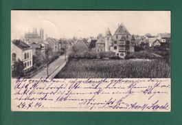 GEISENHEIM - Winkler Landstrasse - 1904
