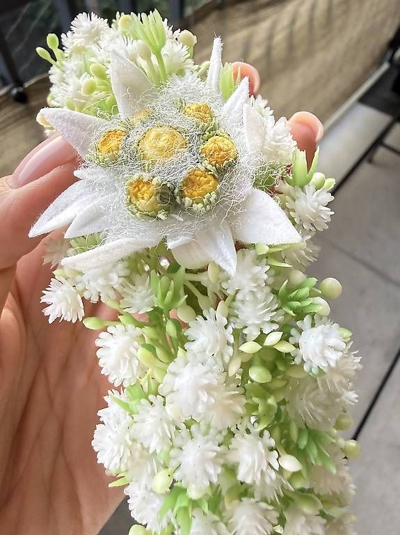 Tutte le decorazioni: Edelweiss Blumenkranz Handarbeit – Usato da Thalwil venduto da han_2b8c 1