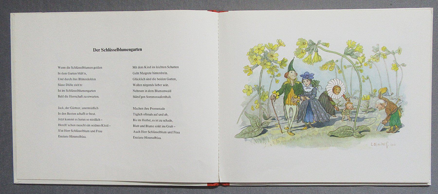 Libri: Blumen-Märchen von Ernst Kreidolf – Usato da Auenstein venduto da Padabimbim 1