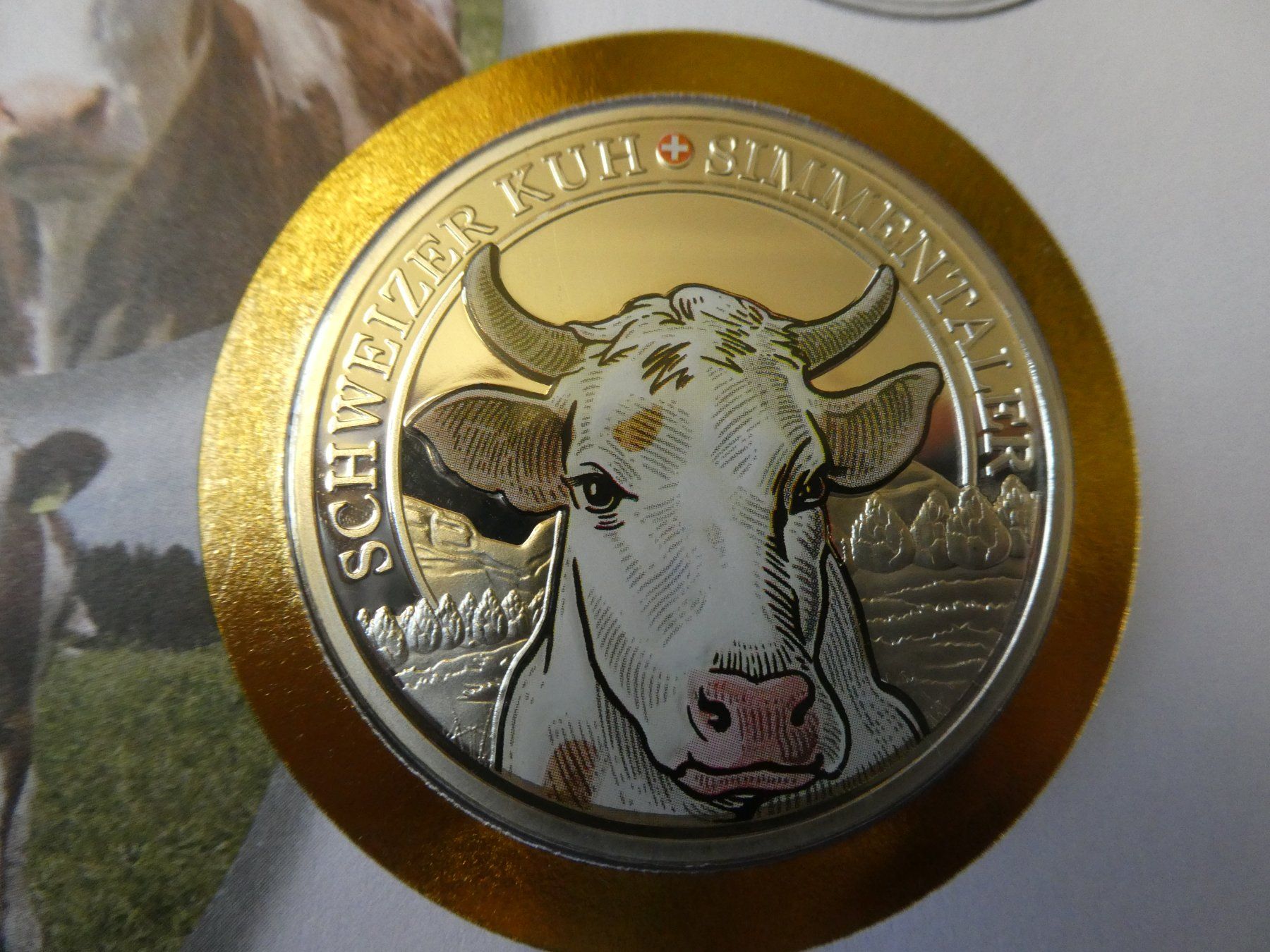 Medaglie: Schweizer Kuh "Simmenthaler", FDC 2017, versilberte Medaille – Nuovo (secondo la descrizione) da Hinterforst venduto da rohusri 1