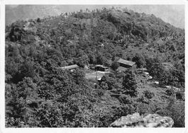 Schöne alte Postkarte LA CIOSSA (TI) - Blick in die Wildnis