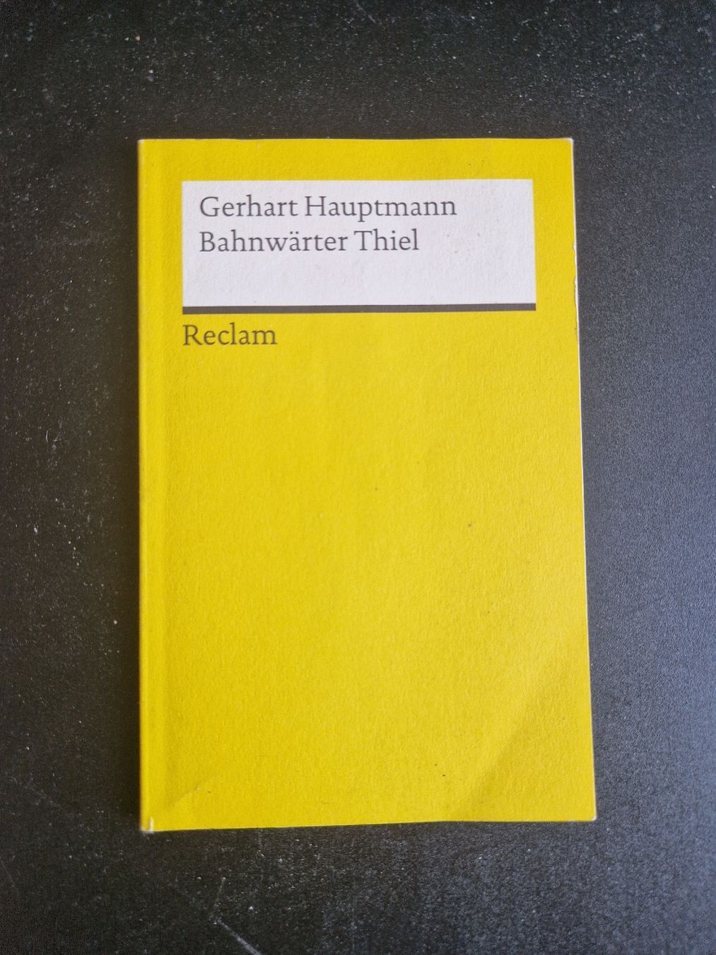 Libri: Gerhart Hauptmann - Bahnwaerter Thiel – Usato da Zürich venduto da Salesmaker