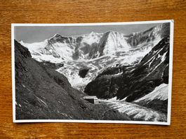 Alte Ansichtskarte von Grindelwald. Bäregg mit Fiescherwald
