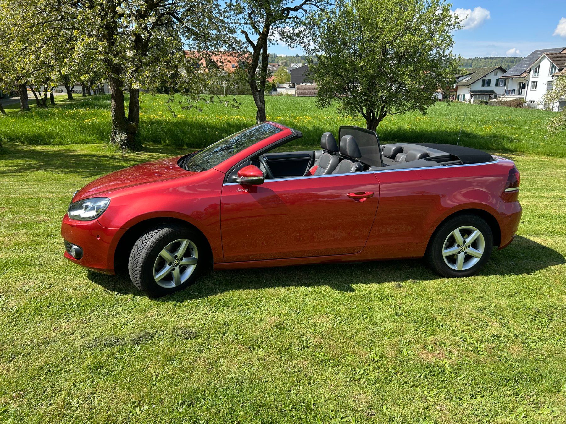 VW Automobili: VW Golf Cabriolet 1.4 TSI Design – Usato da Ehrendingen venduto da Brixli 1