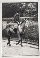 Princess Diana, Lady Di auf Pferd - by Julian Parker, GAMMA