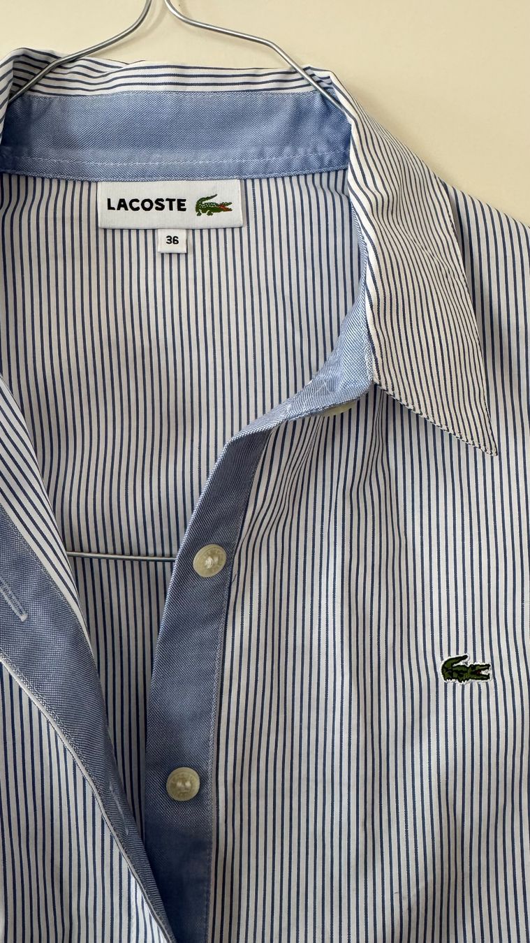 Lacoste Camicette: Lacoste Hemd, Grösse 36, Top Zustand – Usato da Zürich venduto da lbu_jrg8